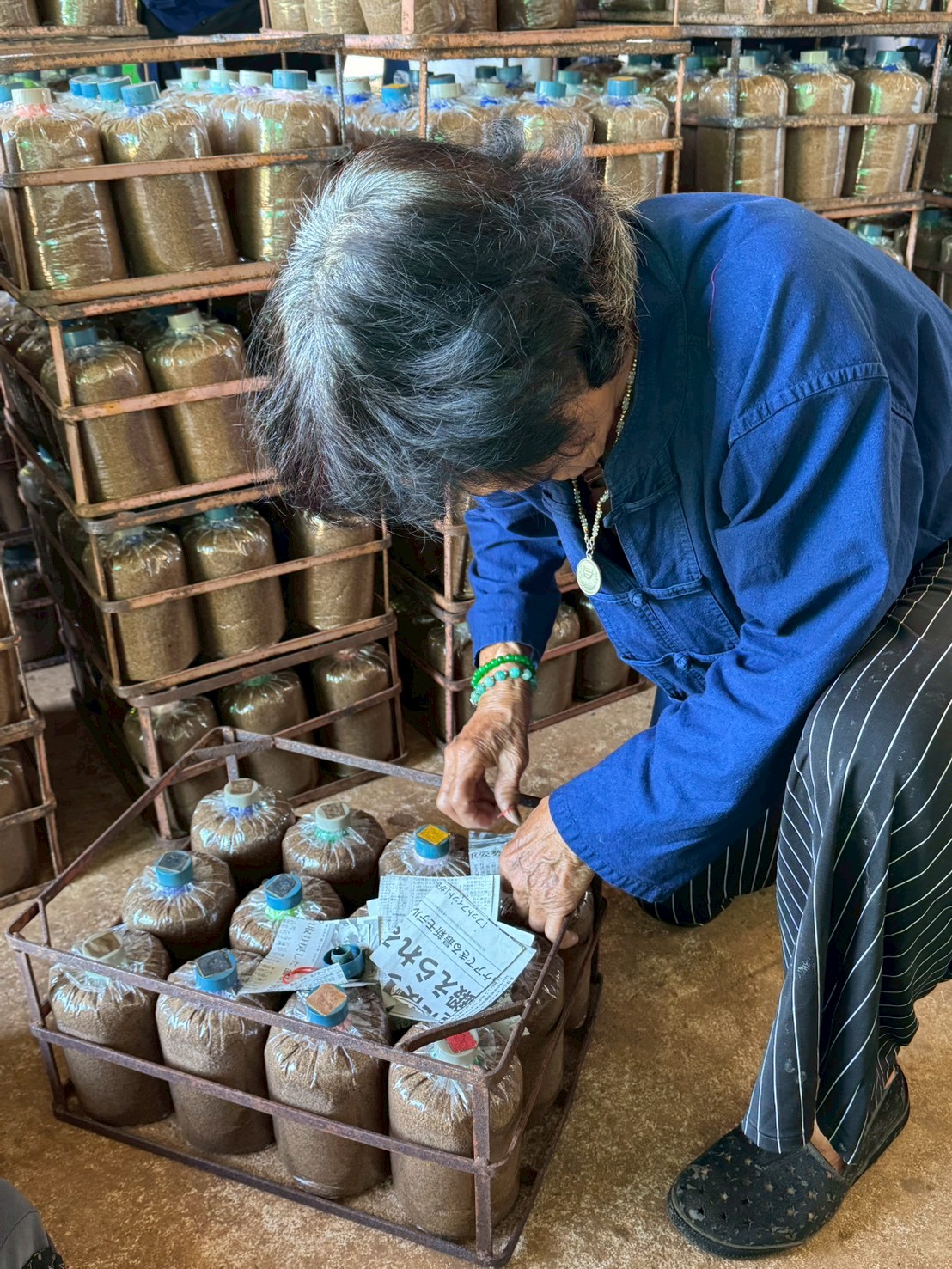 title - ส.ป.ก.จันทบุรี อบรมโครงการพัชรสุธาคชานุรักษ์ ปีงบประมาณ พ.ศ. 2569 